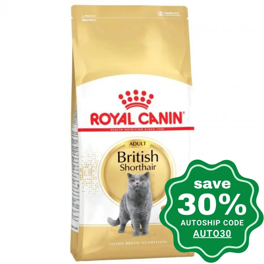 Royal Canin - Adult Cat Food - British Shorthair - 10KG